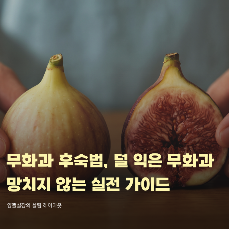 무화과 후숙 법, 덜 익은 과일 사 와서 망치지 않는 실전 가이드