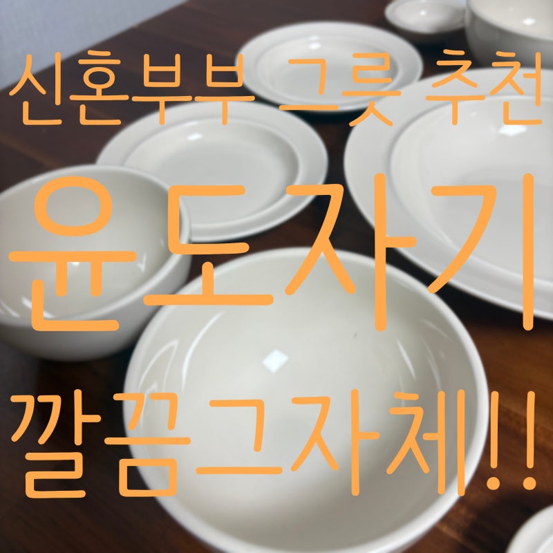 신혼부부 그릇세트 추천!! 윤도자기 코지 국산 도자기 그릇세트 오트 색상