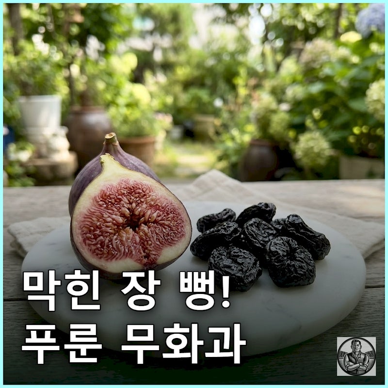 "변비약 버렸습니다" 10년 차 만성 변비 살린 푸룬 vs 무화과