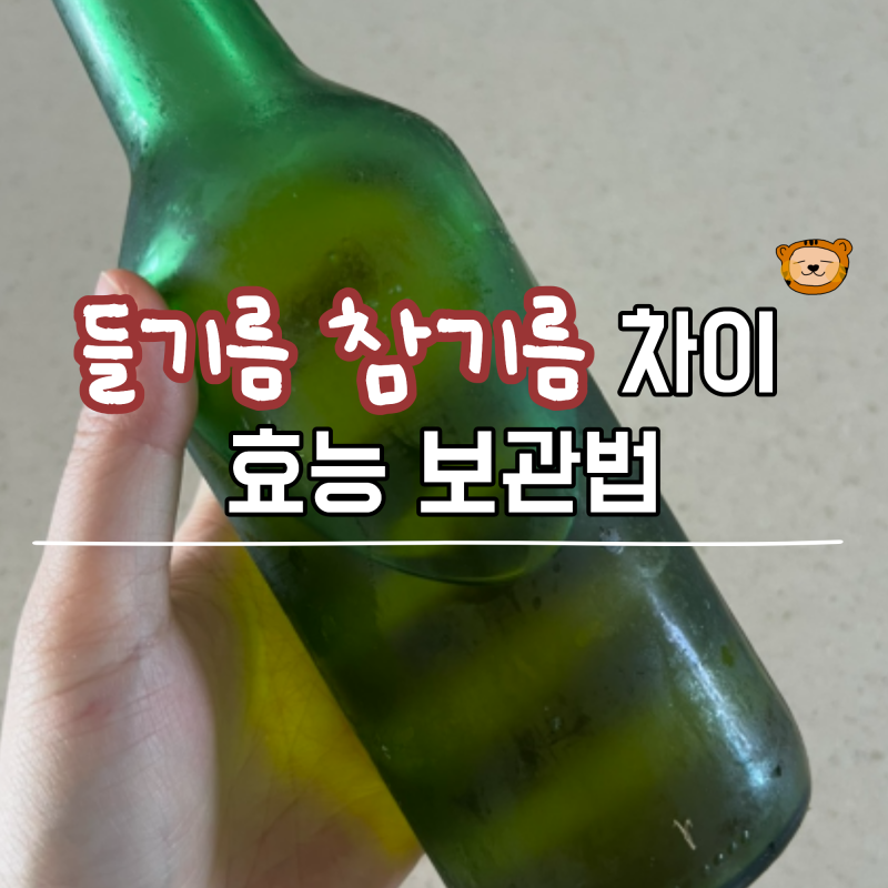 들기름 참기름 차이 효능 보관법