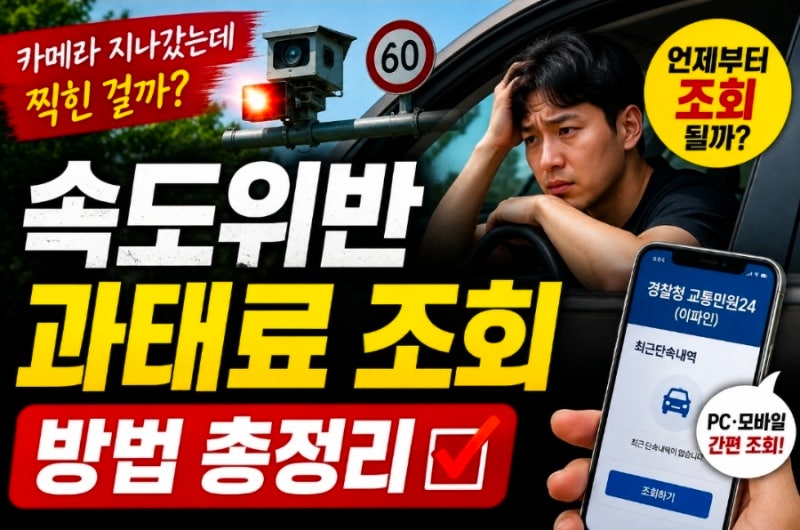 "앗, 찍혔나?" 속도위반 과태료 조회 방법｜카메라 찍혔는지 언제부터 확인될까?