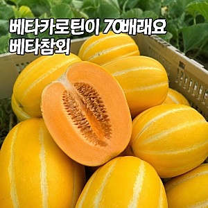 "일반 참외보다 베타카로틴이 70배래요" 베타참외, 새로 나온 기능성 품종