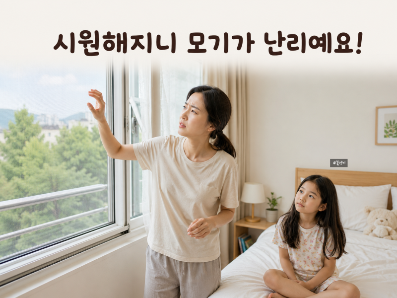 날씨가 시원해지니 모기가 더 많아졌어요! 늦여름 모기 퇴치법