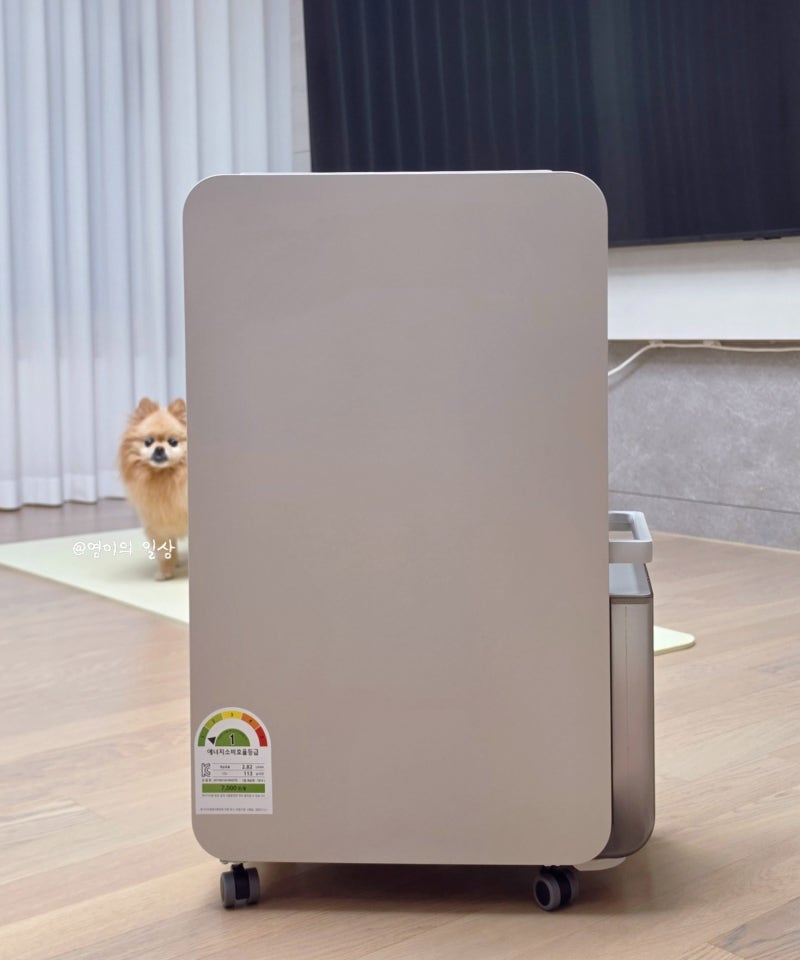 삼성전자 인버터 제습기 18L AY70H18100GTD 내돈내산 사용 후기