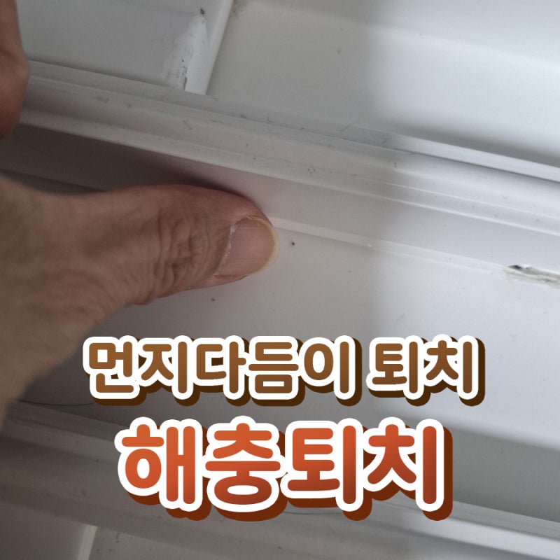 먼지다듬이 퇴치, 먼지다듬이 퇴치법, 먼지다듬이 박멸에 관한 정리