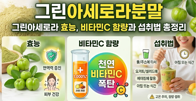 그린아세로라분말 그린아세로라효능, 비타민C 함량