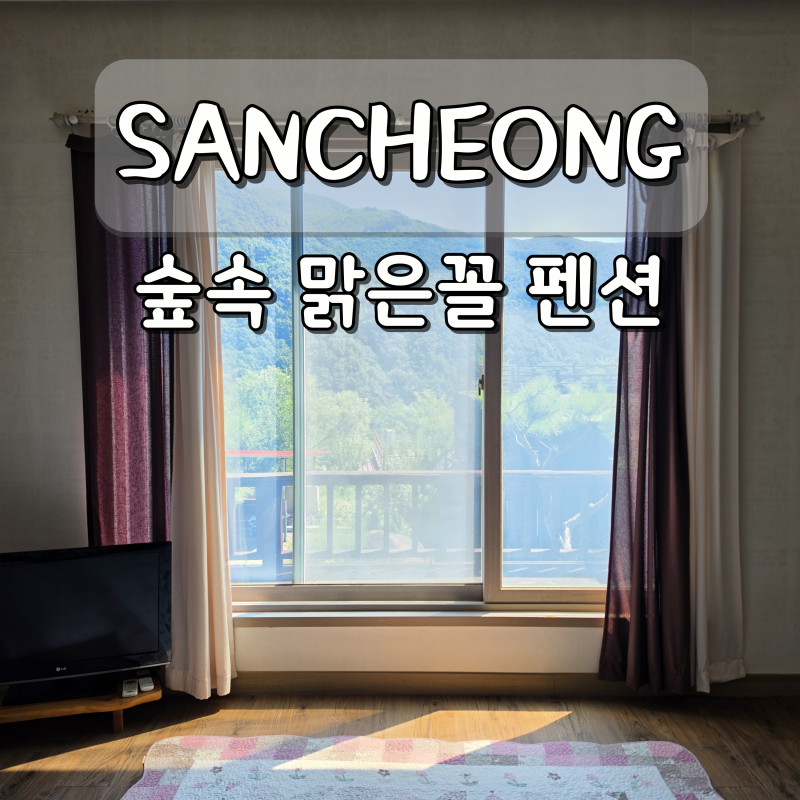 경남 산청 계곡 펜션 지리산 숲속 맑은꼴 펜션 중산리계곡 숙소