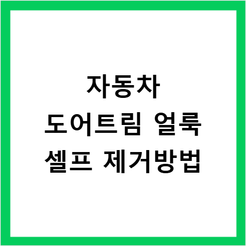 자동차 도어 트림 청소 얼룩 제거 및 셀프 관리법