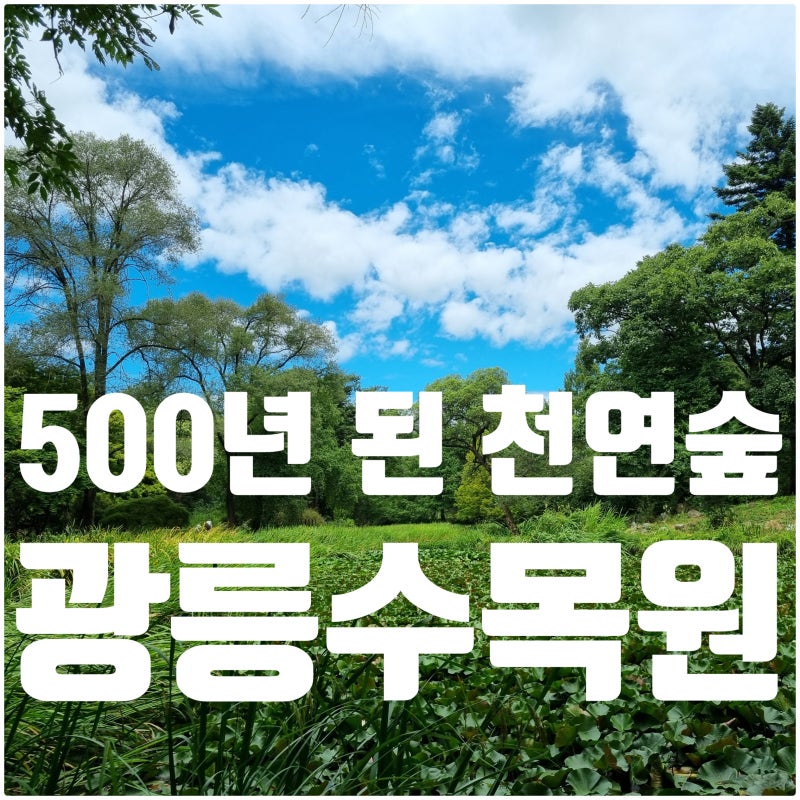 포천 광릉수목원(국립수목원) 입장료 예약 주차 총정리