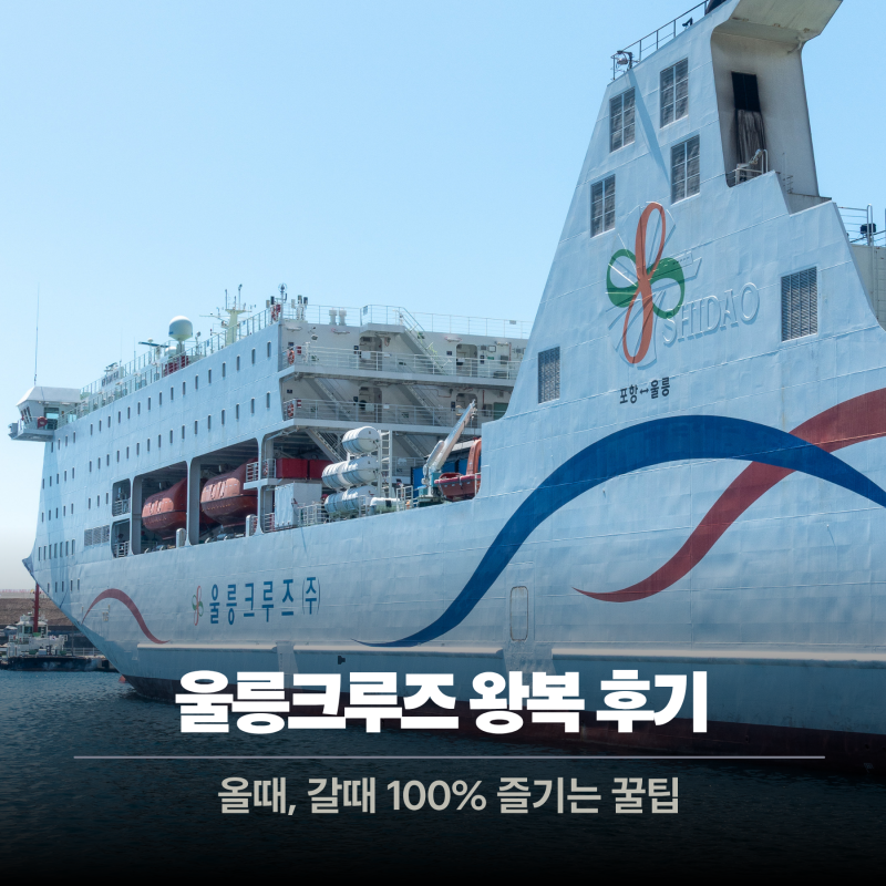 포항 울릉크루즈 6인실 예약, 부대시설, 전기차 선적 탑승 후기
