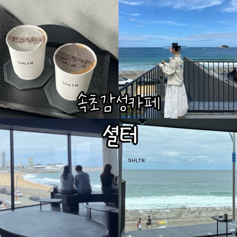 [속초] 셜터 카페/평일 웨이팅