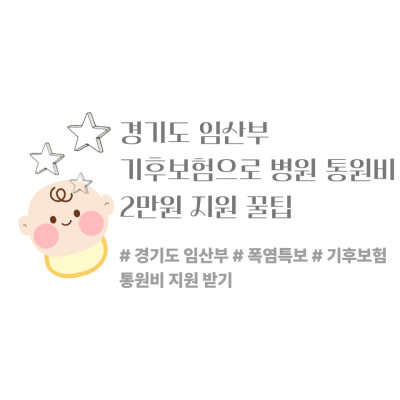 [경기 기후보험] 임산부 병원 통원비 2만 원 지원받는 법!