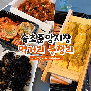 속초중앙시장맛집 먹거리 총정리 주차부터 성게알 우니 파는곳까지