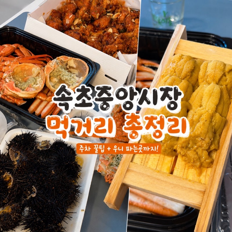 Sokcho Jungang Market Food Guide: From Parking to Where to Buy Sea Urchin Roe
