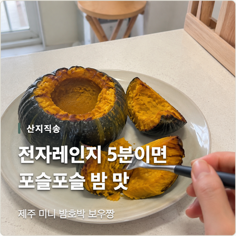 전자레인지 5분이면 끝! 포슬포슬 밤 맛 나는 제주 미니 밤호박