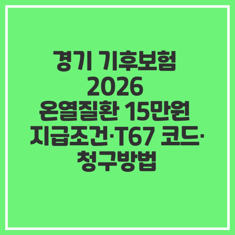 경기 기후보험 2026 온열질환 15만원 지급조건·T67 코드·청구방법