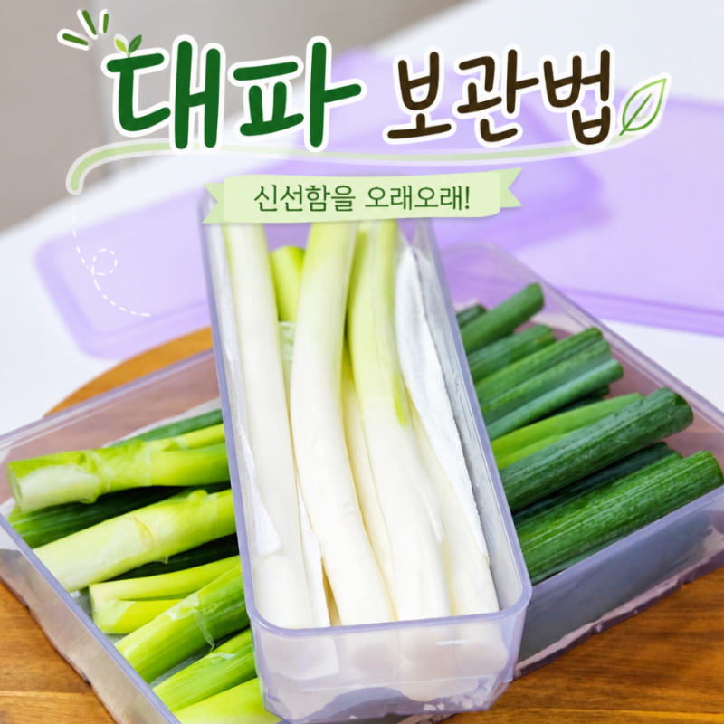 여름철 대파 보관법 흙대파 손질 실온 냉장 냉동 보관 방법 집에서 대파 키우기