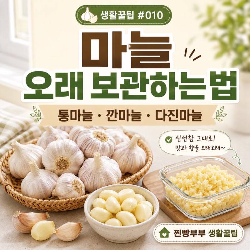 생활꿀팁 #010 | 마늘 오래 보관하는 법! 통마늘·깐마늘·다진마늘 보관법 총정리