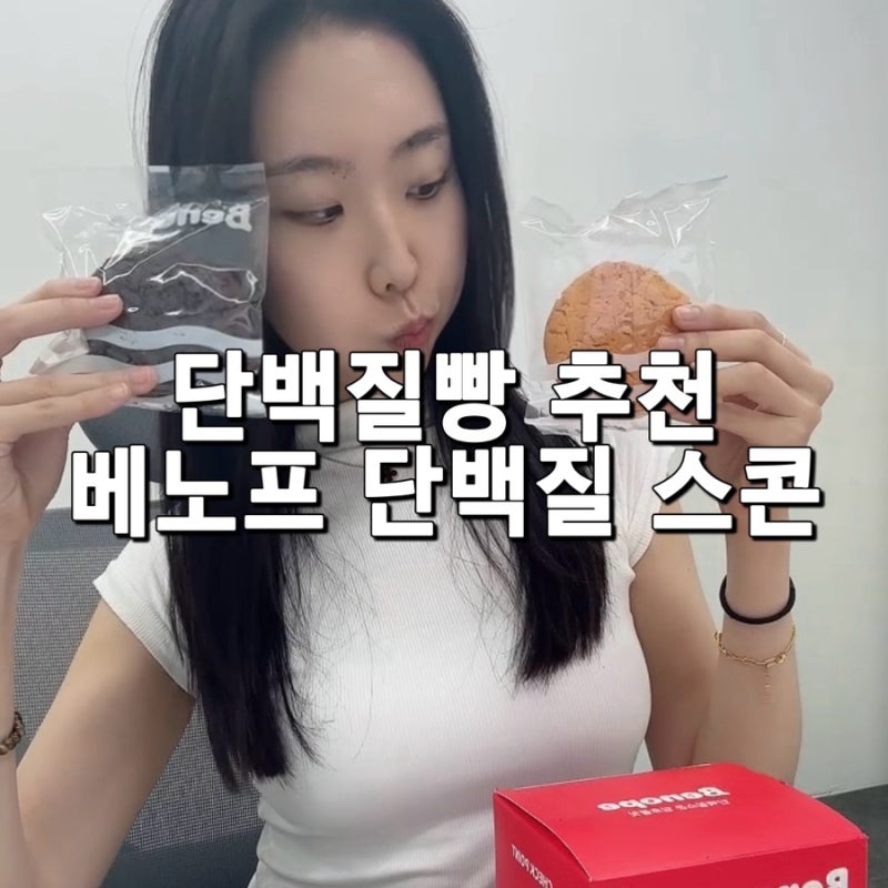 단백질 빵 추천 베노프 단백질스콘 다이어트빵 딥초콜릿 황치즈 후기