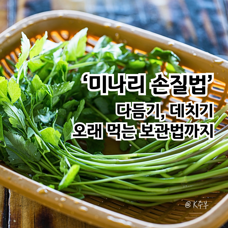 미나리 손질법, "아직도 그냥 씻으시나요?" 다듬기, 데치기, 보관법까지!