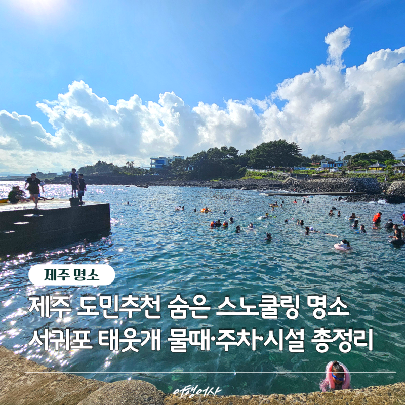 제주 스노쿨링 명소, 서귀포 태웃개 물때·주차 정보부터 실전 물놀이 꿀팁까지