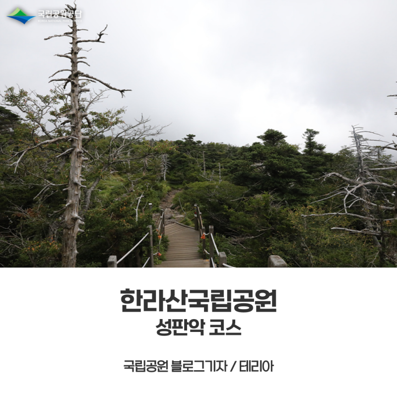 [한라산국립공원] 한라산 성판악코스 여름산행