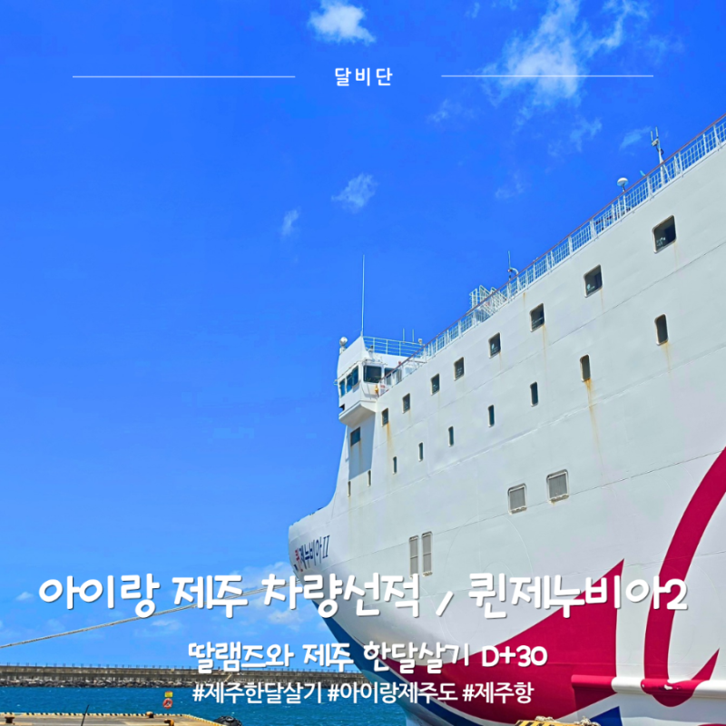 제주항 목포항 배편 퀸제누비아2 아이랑 차량선적 후기｜4부두 이코노미 소요시간