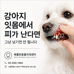 강아지 잇몸 피가 난다면 그냥 넘기면 안 되는 이유