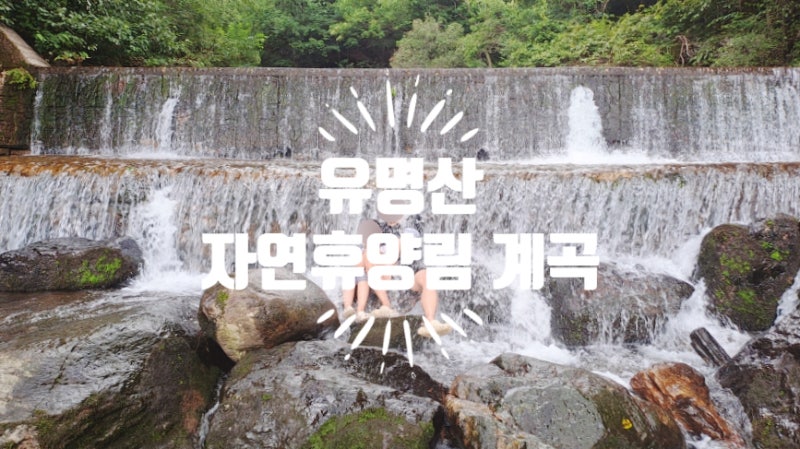 아기들도 가기 좋은 가평 유명산자연휴양림 계곡 주차장 및 화장실
