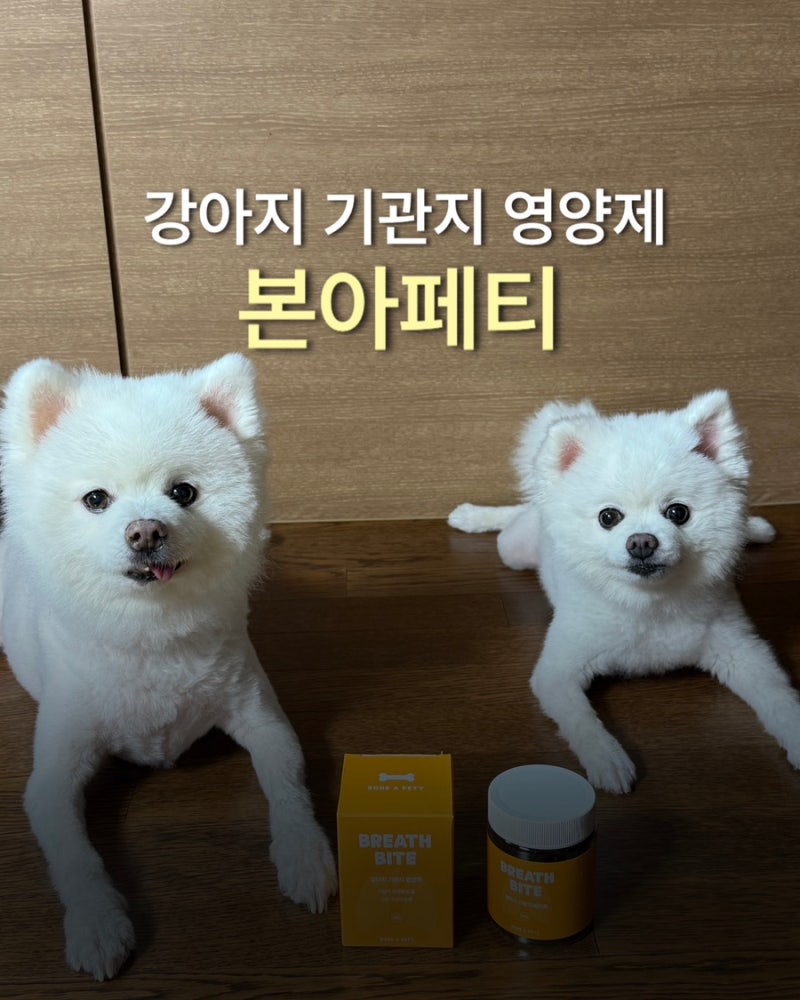 애견 기관지 영양제 트릿형 본아페티 브레스바이트