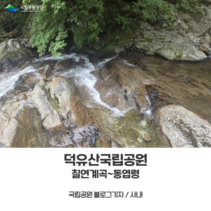 [덕유산국립공원] 안성탐방지원센터 등산 코스 칠연계곡 따라 동엽령까지