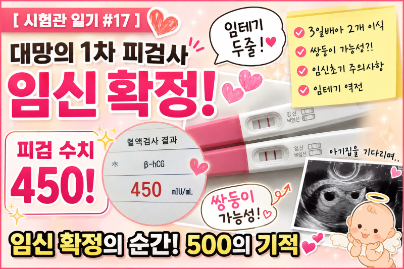 [시험관 일기 #17] 대망의 1차 피검사 임신 확정! 피검 수치 450 (3일배아 2개 이식, 쌍둥이 가능....