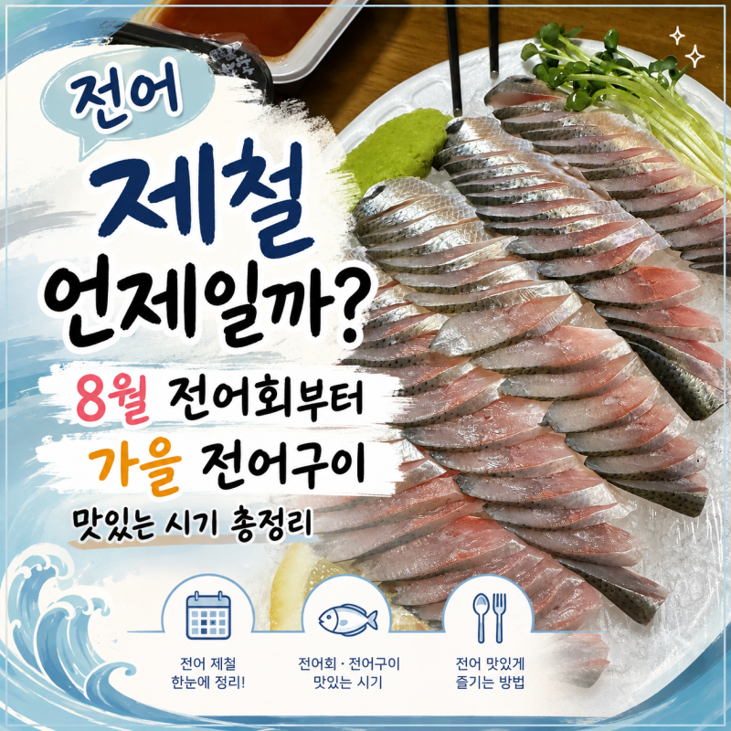 전어 제철 언제일까? 8월 전어회부터 가을 전어구이 맛있는 시기