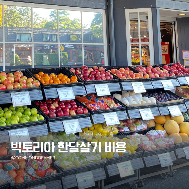 캐나다 빅토리아 한달살기 비용｜1인 에어비앤비·렌트카 실제 생활비 정리