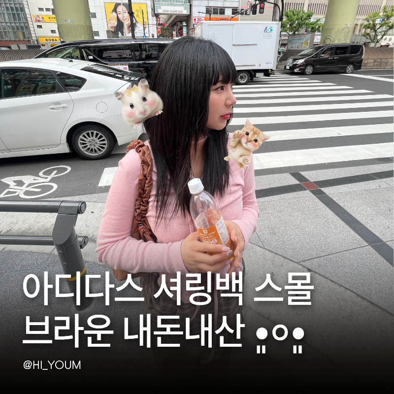 아디다스 셔링백 스몰 브라운 후기 수납 좋은 숄더 크로스백 직접 써보니