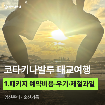 코타키나발루 4박 6일 태교 여행① (교원투어 패키지 예약, 날씨, 우기 시즌, 제철 과일, 주의....
