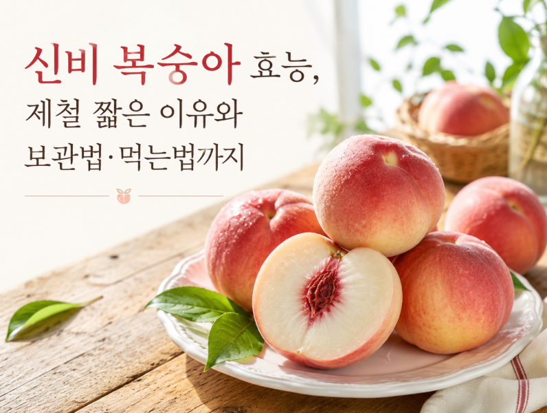 신비 복숭아 효능, 제철 짧은 이유와 보관법·먹는법까지