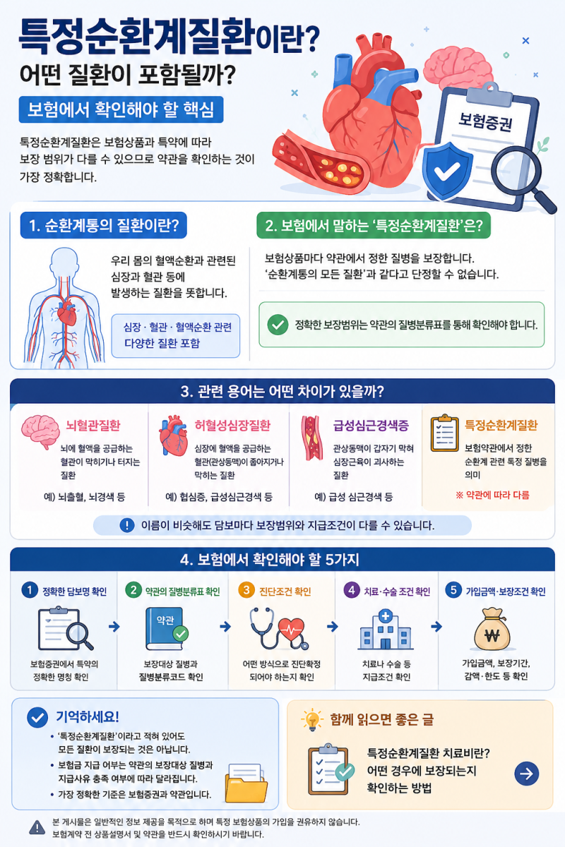 특정순환계질환이란? 어떤 질환이 포함될까｜보험에서 확인해야 할 핵심