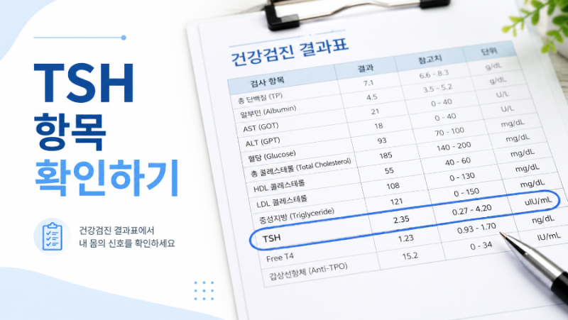 TSH 정상수치, 높거나 낮게 나왔을 때 갑상선 검사 보는 법