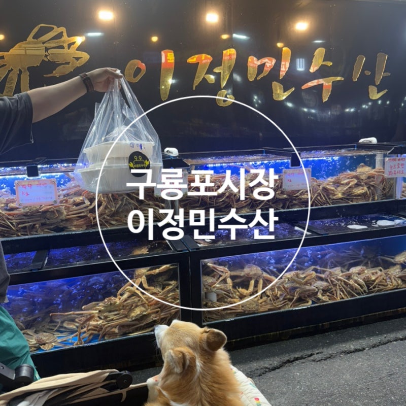포항 구룡포시장 대게맛집 대게포장 시세 주차 이정민수산