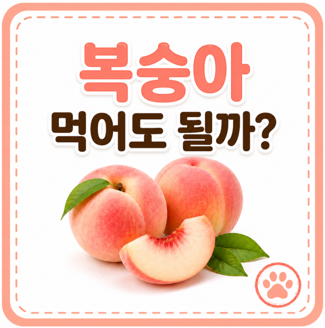 강아지 복숭아 먹어도 될까? 천도복숭아, 껍질, 씨 확인