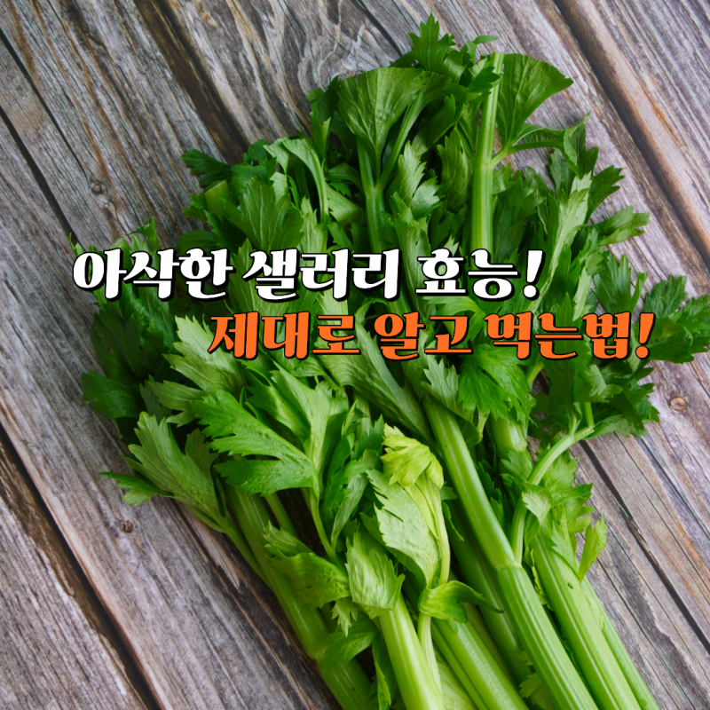 매일 먹어도 될까? 샐러리 효능과 부작용, 먹는법