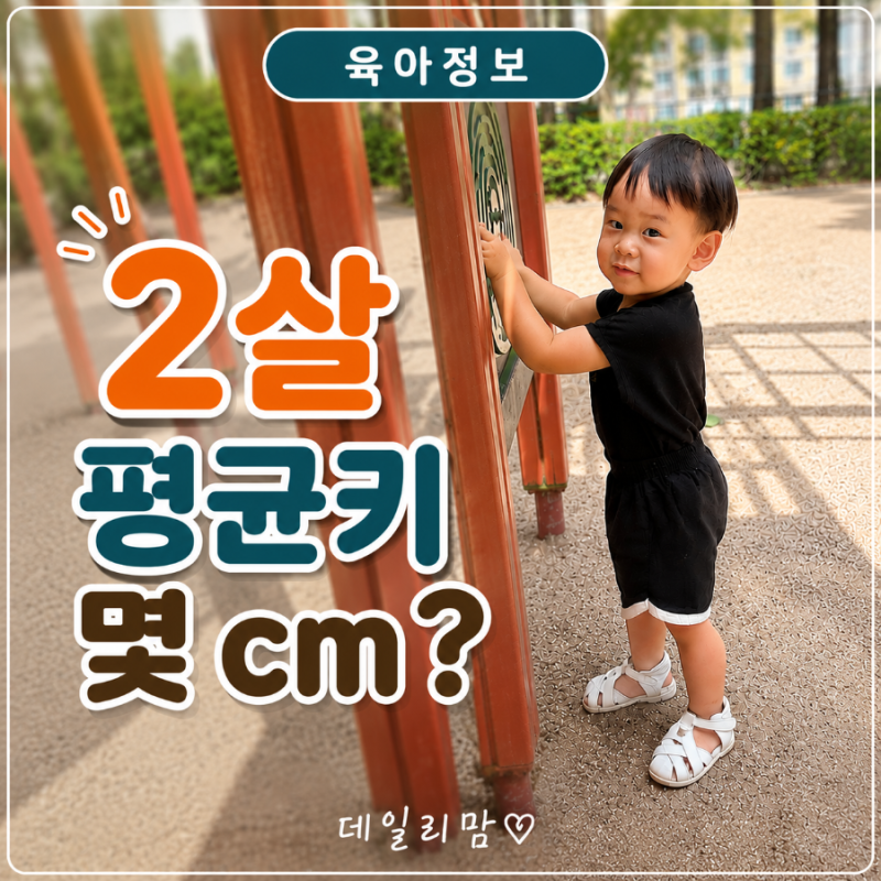 2살 평균키 몇 cm? 남아 여아 평균 키 비교