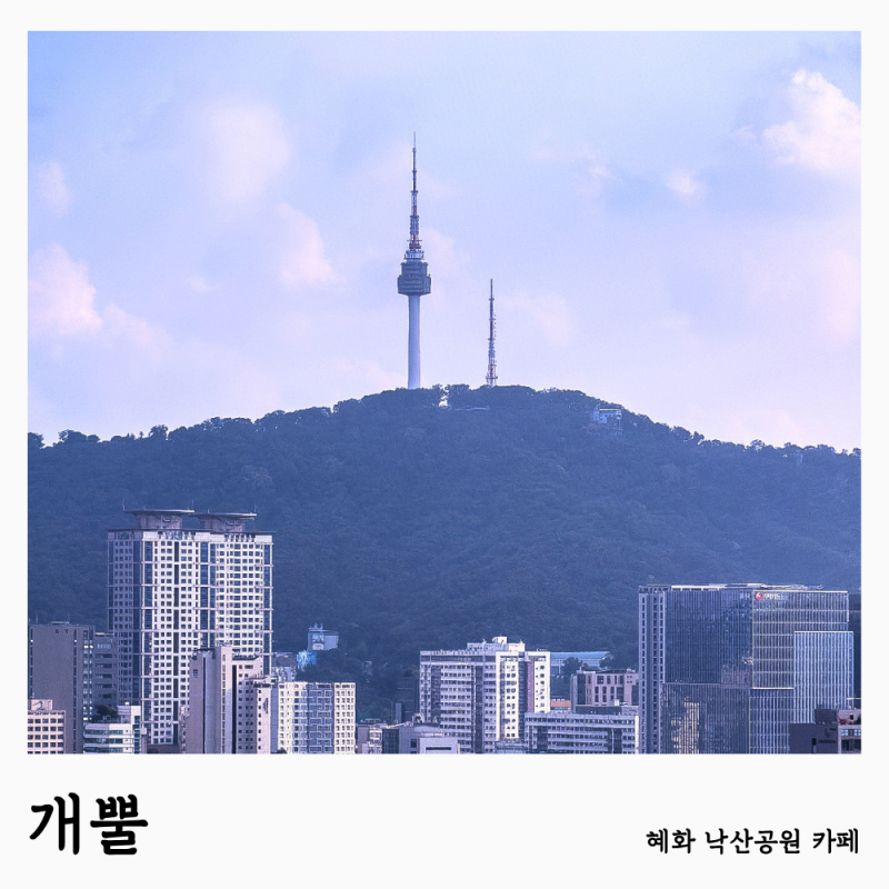 [혜화 낙산공원 카페] 남산타워 뷰맛집 “개뿔”