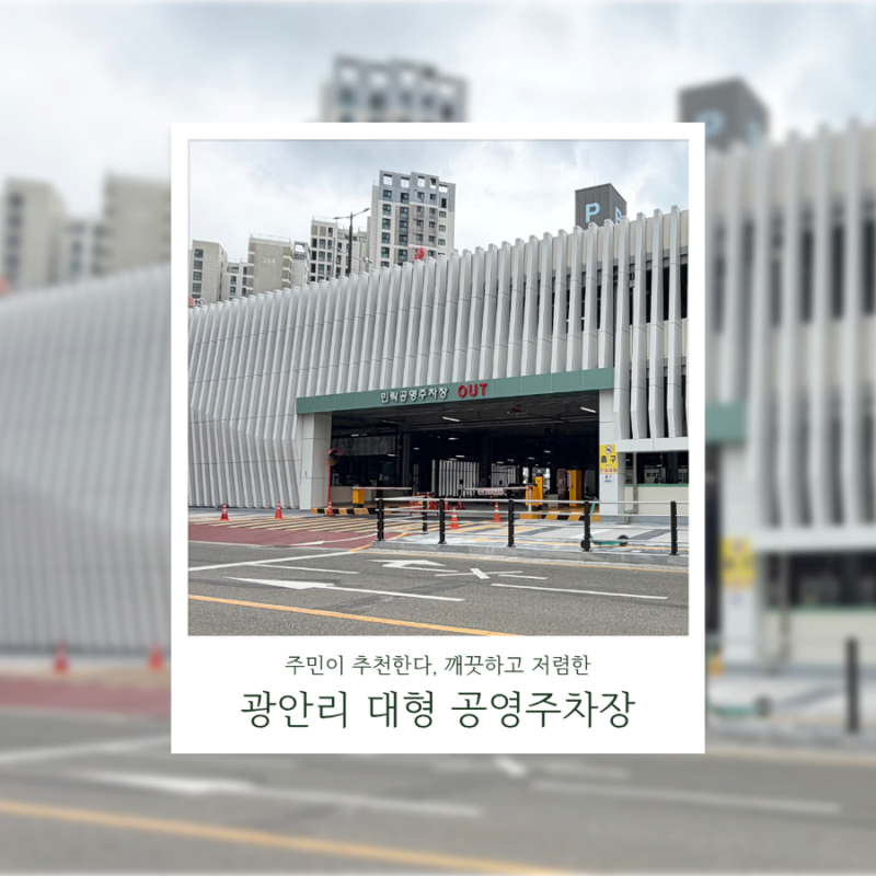 광안리 넓고 저렴한 공영주차장, 바닷가 회센터랑 가까운 주차장 무조건 여기로!