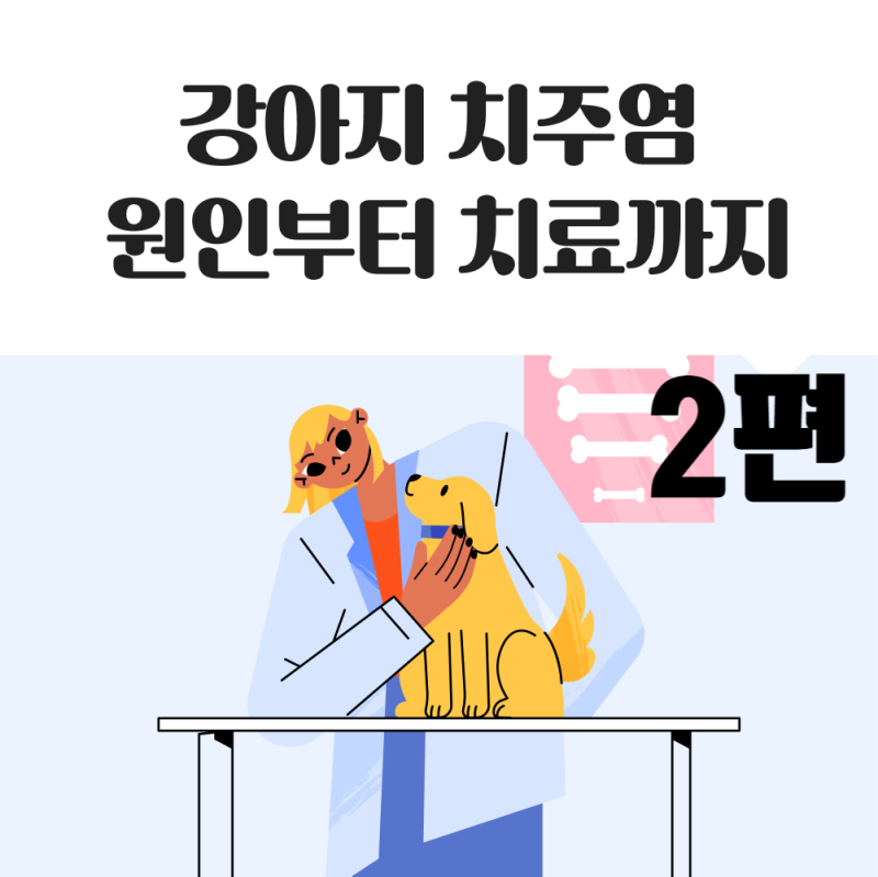 강아지 입냄새가 너무 심해요, 강아지 치주염 치료법과 예방법_당진시청 동물병원