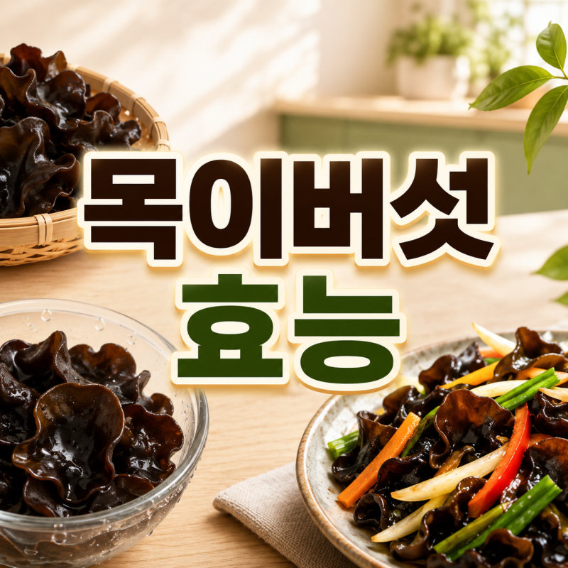 목이버섯 효능과 부작용, 백목이버섯 흰목이버섯 차이는?