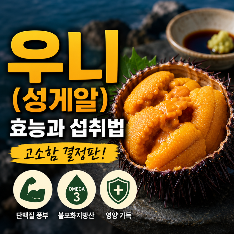 우니(성게알) 효능과 섭취법 고소함 결정판