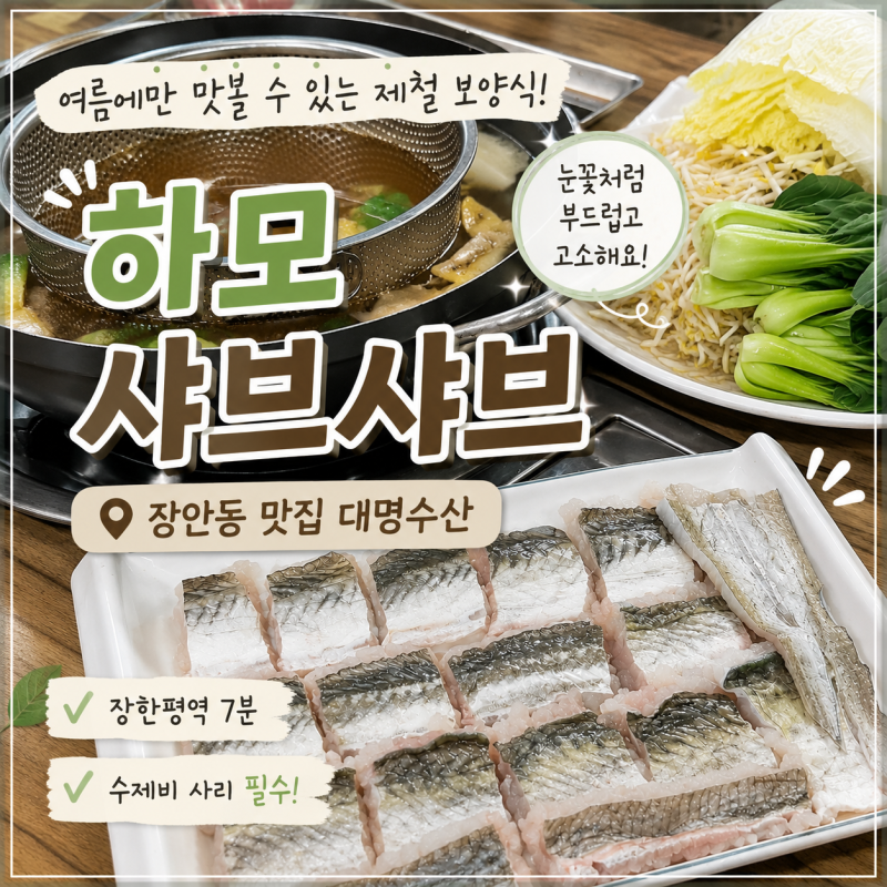장안동 맛집 하모 샤브샤브｜여름 제철 하모 제대로 먹고 온 대명수산