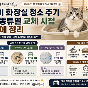 고양이 화장실 청소 주기 — 모래 종류별 교체 시점 한 번에 정리
